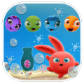 Sunny Bunnies : Bubble Shootingiphone版下载