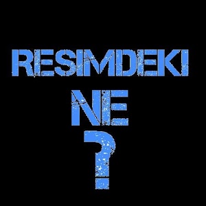 Resimdeki ne ?