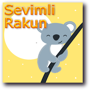 Sevimli Rakun