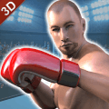 真正的打拳击冠军3D：MMA格斗2k18破解版下载