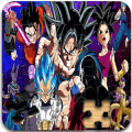 DBS Super Puzzle无法安装怎么办