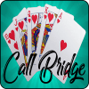 Call Bridge Pro手机版下载