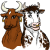 Bulls & Cows - Code Cracker Game