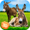 Donkey Simulator - Little Horse Wildlife Simulator