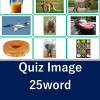 English Word Quiz for kids最新安卓下载