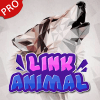 Animal Link Match 3 Game在哪下载