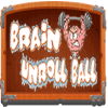 Brain Unroll ball无法安装怎么办