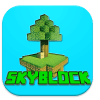 Skyblock Survival游戏修改器