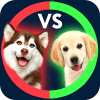 What's Higher Lower Game Dogs Quiz