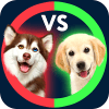 What's Higher Lower Game Dogs Quiz无法打开