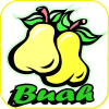Game Menebak Nama Buah Offline手机版下载