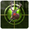 Wild Safari Hunter: Hunting & Shooting 3D