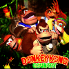 New Donkey Kong Country Hint