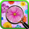 Hidden Object: My Flowershop Spring Flowers Free中文版下载