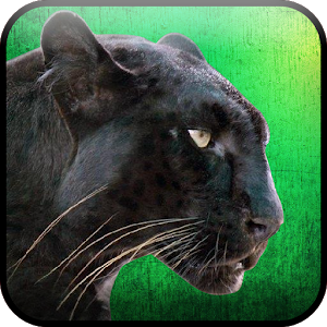 Wild Panther Hunter Survival