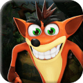 Bandicoot Crash Tornado Spin Game免费下载