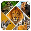 Wild Safari Quick Snapshot 3D绿色版下载