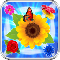 Ultimate Blossom Blast Link版本更新