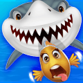 Crazy Hungry Fish - Big Fish Eat Small Fish无法打开