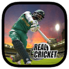 Real Game Cricket 2018