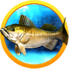 Wild Fishing Pro Clash如何升级版本