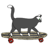 Skate Cat