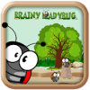 Brainy LadyBug绿色版下载