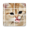 Kittens Funny Puzzle如何升级版本