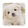 Cute Puppies Puzzle怎么下载