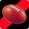 Quiz For Essendon FC Footy - Aussie Rules Trivia占内存小吗