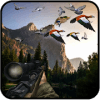 Duck Hunting Game 3d : Real Duck Hunter/ Hunt Duck
