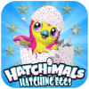 Hatchimals Hatching Eggs