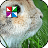 Tile Puzzle Cute Rabbits安全下载