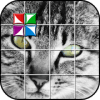 Tile Puzzle Cute Cats安卓版下载