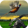 Pheasant Hunting: Archery Birds Hunter 2018如何升级版本