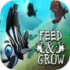 Feed And Grow Fish Simulator如何升级版本