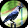 Crow Hunting - Forest Sniper Shooting Adventure 18