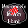Bernard's 3D Brain Hunt无法打开
