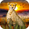 African Wild Life: Cheetah Survival官方版免费下载