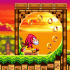 Knuckles Run - Sonic Advance 3最新安卓下载