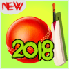 Cricket dunk genuine dunk criket 2018