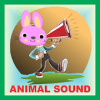 Animal Sound For Kids