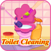 toilet cleaning