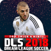 New Dream League Soccer 2018 Tips官方下载