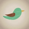 Pajaro Voladore占内存小吗