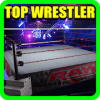 Superstar Wrestler Puzzle Free Game终极版下载