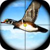 Duck Sniper Shooter - Real Wild Adventure Hunting在哪下载