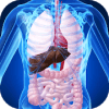 BioDigital Human - Quiz Anatomy免费下载