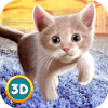 Home Cat Survival Simulator 3D