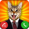 * fake call cat New * The Simulator安卓手机版下载